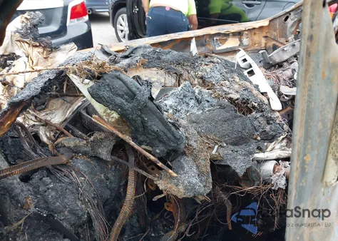 2020 Toyota Sienna Xle Premium из США, поврежденный, VIN 5TDDZ3DC7LS233159